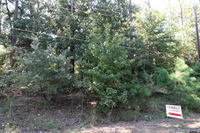 Lot 24 Briar Grove, Murchison, TX 75778 - Photo 5