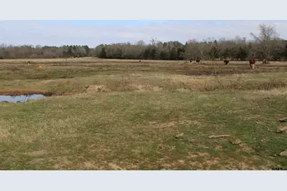 22571 Cr 2138, Troup, TX 75789 - Photo 3
