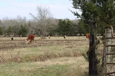 22571 Cr 2138, Troup, TX 75789 - Photo 13