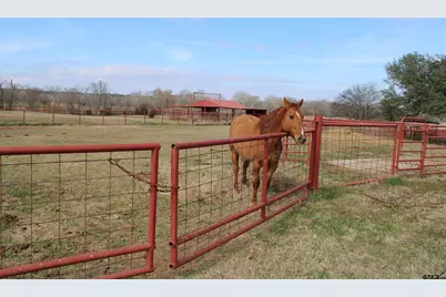 22571 Cr 2138, Troup, TX 75789 - Photo 5