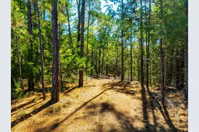 9444 Fm 314, Ben Wheeler, TX 75754 - Photo 39