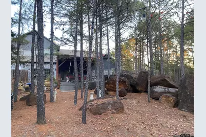 9444 Fm 314, Ben Wheeler, TX 75754 - Photo 45