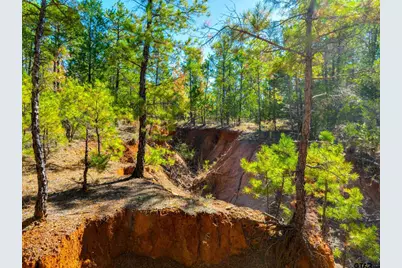 9444 Fm 314, Ben Wheeler, TX 75754 - Photo 41