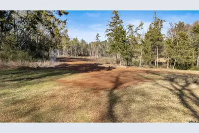 4256 E US Hwy 84, Mt Enterprise, TX 75681 - Photo 5