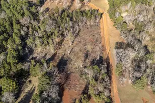 4256 E US Hwy 84, Mt Enterprise, TX 75681 - Photo 13