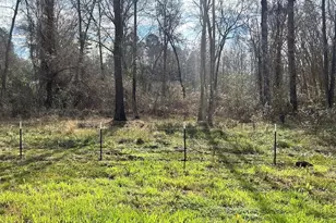 21091 Cr 113, Tyler, TX 75703 - Photo 13