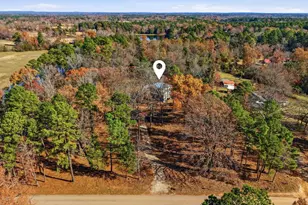 3148 Medlin Rd, Gilmer, TX 75645 - Photo 35