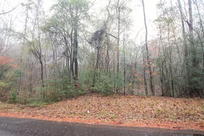 1348 Cr 448, Carthage, TX 75633 - Photo 5