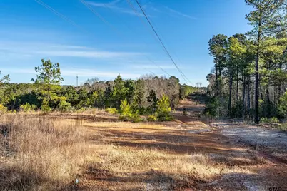 Tbd Red Oak Road, Marshall, TX 75670 - Photo 25