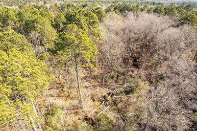 Tbd Red Oak Road, Marshall, TX 75670 - Photo 15