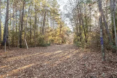 Tbd Red Oak Road, Marshall, TX 75670 - Photo 17