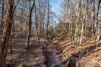 Tbd Red Oak Road, Marshall, TX 75670 - Photo 43