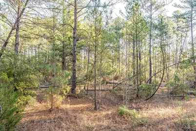 Tbd Red Oak Road, Marshall, TX 75670 - Photo 23