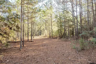 Tbd Red Oak Road, Marshall, TX 75670 - Photo 19