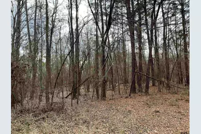 Tract 1 Venus Rd, White Oak, TX 75693 - Photo 1