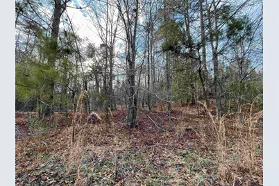 Tract 7 Venus Rd, Gladewater, TX 75647 - Photo 5