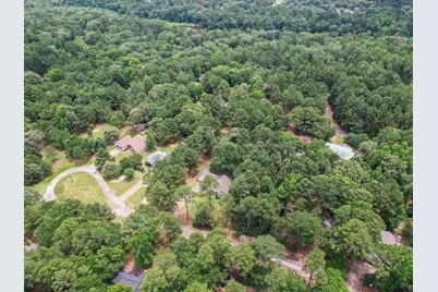 204 Pack Saddle Ridge, Holly Lake Ranch, TX 75765 - Photo 5