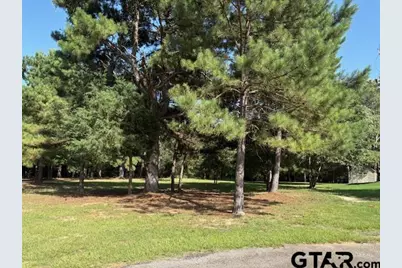 208 Pack Saddle Ridge, Holly Lake Ranch, TX 75765 - Photo 3