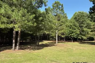 208 Pack Saddle Ridge, Holly Lake Ranch, TX 75765 - Photo 1