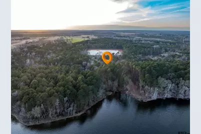 0 Private Road 4300, Frankston, TX 75763 - Photo 5