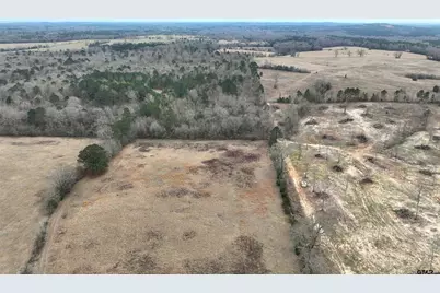 Tbd Wild Daisy Road, Ore City, TX 75683 - Photo 7