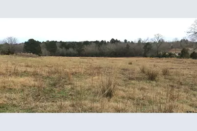 Tbd Wild Daisy Road, Ore City, TX 75683 - Photo 19