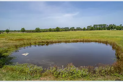 Tbd Vz County Road 1516, Van, TX 75790 - Photo 21