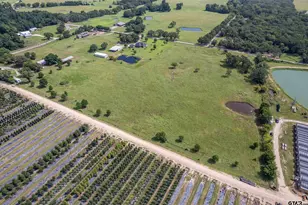 Tbd Vz County Road 1516, Van, TX 75790 - Photo 1