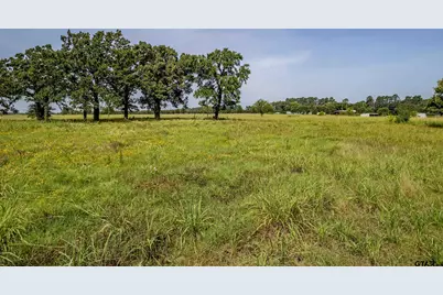 Lot 1 Vz County Road 1516, Van, TX 75790 - Photo 7
