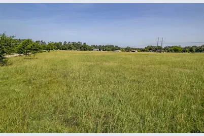 Lot 1 Vz County Road 1516, Van, TX 75790 - Photo 11