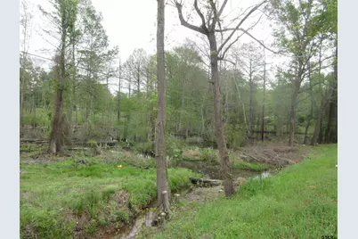 Tbd Sh 149, Longview, TX 75603 - Photo 5