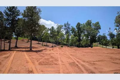 16416 Ridgeline Loop, Winona, TX 75792 - Photo 15