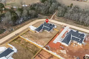 12341 Madison Xing, Bullard, TX 75757 - Photo 47