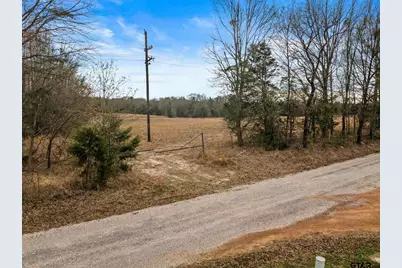 Tbd County Road 2212, Pittsburg, TX 75686 - Photo 5