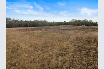 Tbd County Road 2212, Pittsburg, TX 75686 - Photo 11
