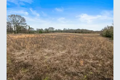 Tbd County Road 2212, Pittsburg, TX 75686 - Photo 13