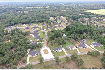 121 Private Road 6238, Mineola, TX 75773 - Photo 5