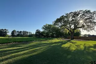 139 White-N-Gail, Bullard, TX 75757 - Photo 47