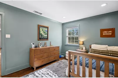 14156 County Road 193, Tyler, TX 75703 - Photo 27