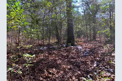 911 Cayuga Drive, Athens, TX 75751 - Photo 7