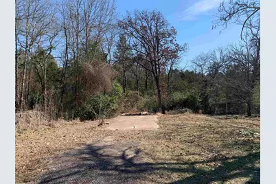 911 Cayuga Drive, Athens, TX 75751 - Photo 3