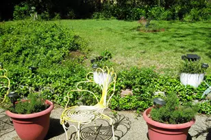 4205 Birdwell Dr, Tyler, TX 75703 - Photo 31