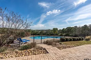 120 Lookout Ct, Hallsville, TX 75650 - Photo 43