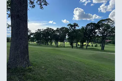 4212 Hogan Drive, Tyler, TX 75706 - Photo 3