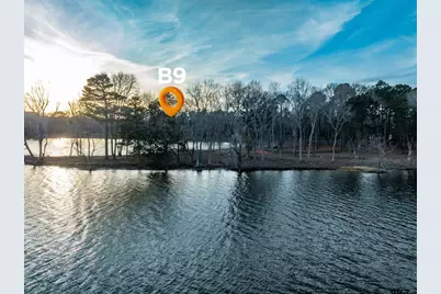 0 Oak River (Lot 25 & B9), Frankston, TX 75763 - Photo 17