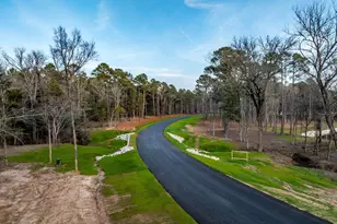 0 Oak River (Lot 25 & B9), Frankston, TX 75763 - Photo 13