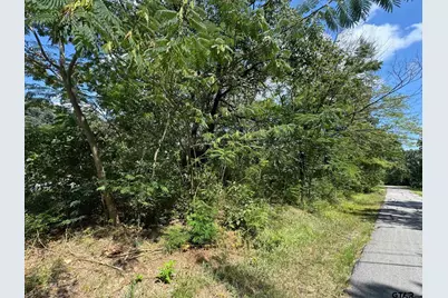 0 Hidalgo Loop, Mabank, TX 75156 - Photo 3