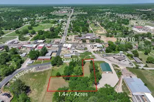 300 Quail St, Van, TX 75790 - Photo 5