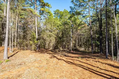 11184 County Road 3420, Brownsboro, TX 75756 - Photo 45