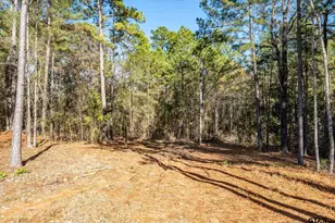 11184 Co Rd 3420, Brownsboro, TX 75756 - Photo 45